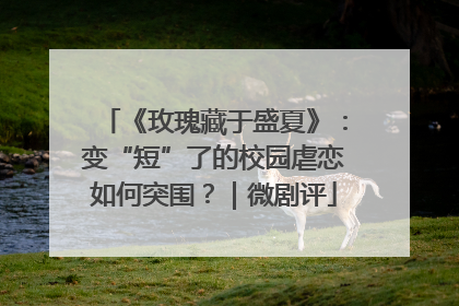 《玫瑰藏于盛夏》：变“短”了的校园虐恋如何突围？｜微剧评
