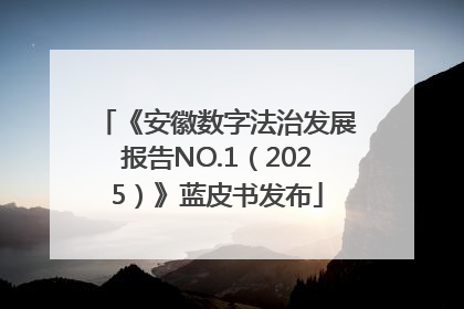 《安徽数字法治发展报告NO.1（2025）》蓝皮书发布