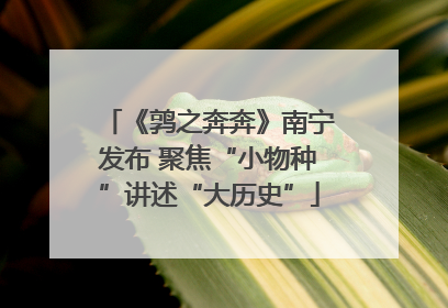 《鹑之奔奔》南宁发布 聚焦“小物种”讲述“大历史”