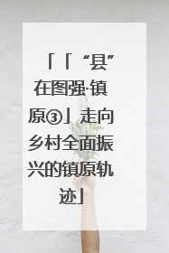 「“县”在图强·镇原③」走向乡村全面振兴的镇原轨迹