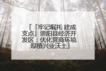 「牢记嘱托 建成支点」崇阳县经济开发区：优化营商环境 厚植兴业沃土