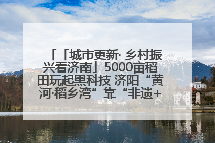 「城市更新· 乡村振兴看济南」5000亩稻田玩起黑科技 济阳“黄河·稻乡湾”靠“非遗+露营”火出圈