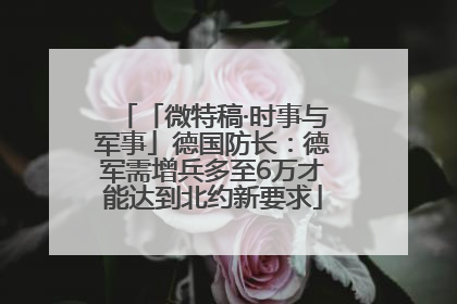 「微特稿·时事与军事」德国防长：德军需增兵多至6万才能达到北约新要求