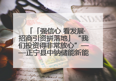 「强信心 看发展·招商引资拼落地」“我们投资得非常放心”——正宁县中钠储能新能源项目建设见闻