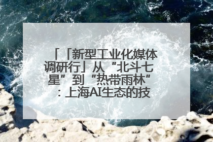 「新型工业化媒体调研行」从“北斗七星”到“热带雨林”：上海AI生态的技术商业共生密码