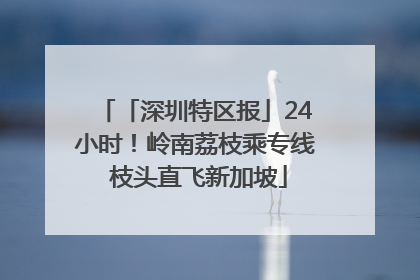 「深圳特区报」24小时！岭南荔枝乘专线 枝头直飞新加坡