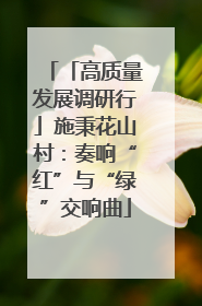 「高质量发展调研行」施秉花山村：奏响“红”与“绿”交响曲