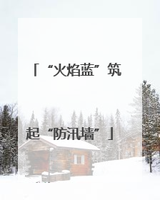 “火焰蓝”筑起“防汛墙”