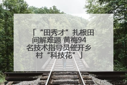 “田秀才”扎根田间解难题 黄梅94名技术指导员催开乡村“科技花”