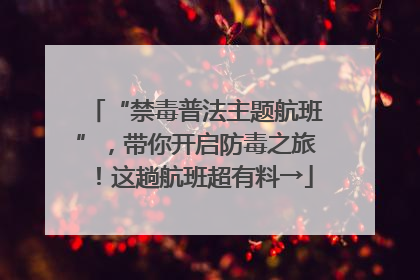 “禁毒普法主题航班”，带你开启防毒之旅！这趟航班超有料→