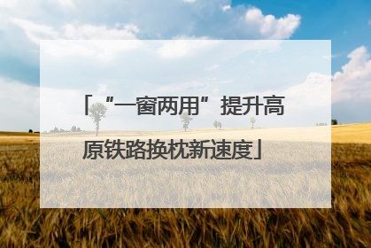 “一窗两用”提升高原铁路换枕新速度