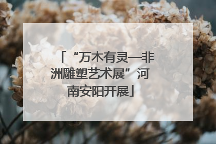 “万木有灵—非洲雕塑艺术展”河南安阳开展