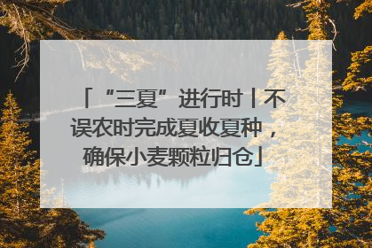 “三夏”进行时丨不误农时完成夏收夏种，确保小麦颗粒归仓