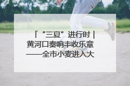 “三夏”进行时｜黄河口奏响丰收乐章——全市小麦进入大面积收获高峰期