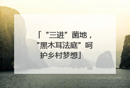 “三进”菌地，“黑木耳法庭”呵护乡村梦想