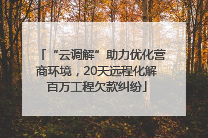 “云调解”助力优化营商环境，20天远程化解百万工程欠款纠纷
