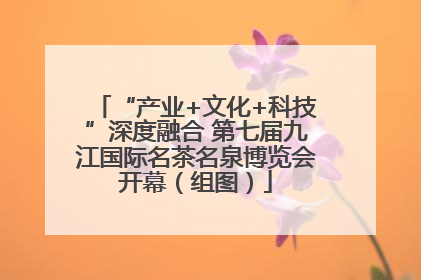 “产业+文化+科技”深度融合 第七届九江国际名茶名泉博览会开幕（组图）