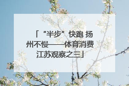“半步”快跑 扬州不慢——体育消费江苏观察之三