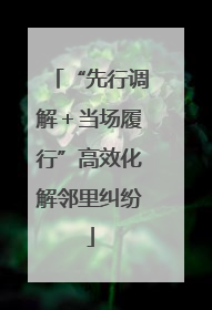 “先行调解＋当场履行”高效化解邻里纠纷