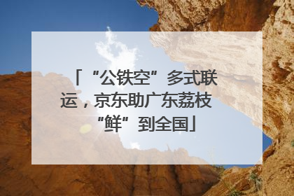 “公铁空”多式联运，京东助广东荔枝“鲜”到全国