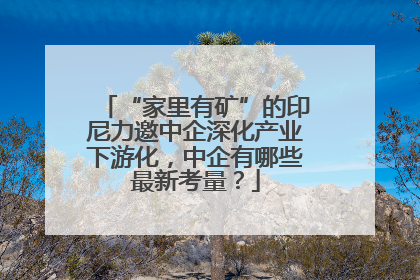 “家里有矿”的印尼力邀中企深化产业下游化，中企有哪些最新考量？