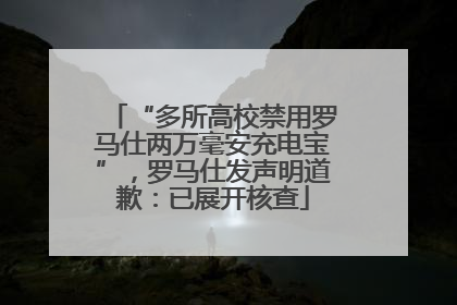 “多所高校禁用罗马仕两万毫安充电宝”，罗马仕发声明道歉：已展开核查