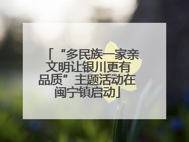 “多民族一家亲 文明让银川更有品质”主题活动在闽宁镇启动