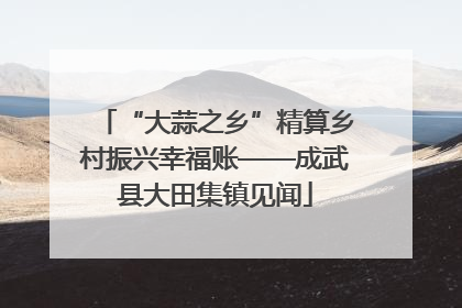 “大蒜之乡”精算乡村振兴幸福账——成武县大田集镇见闻