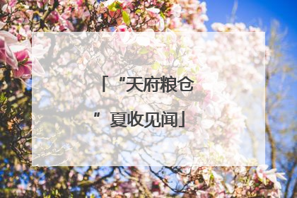 “天府粮仓”夏收见闻