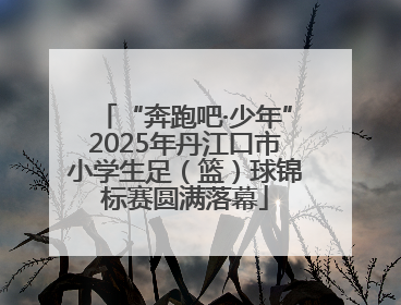 “奔跑吧·少年”2025年丹江口市小学生足（篮）球锦标赛圆满落幕