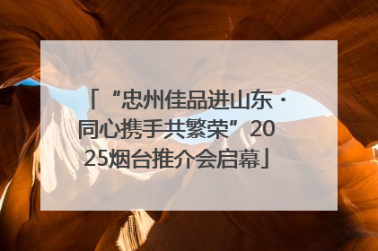 “忠州佳品进山东・同心携手共繁荣”2025烟台推介会启幕