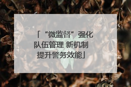 “微监督”强化队伍管理 新机制提升警务效能