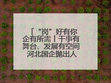 “岗”好有你 企有所需丨干事有舞台、发展有空间 河北国企抛出人才“橄榄枝”