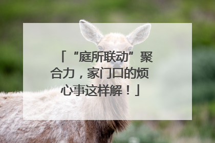 “庭所联动”聚合力，家门口的烦心事这样解！