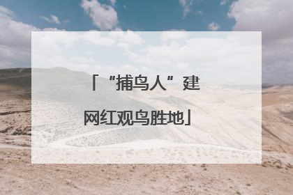 “捕鸟人”建网红观鸟胜地