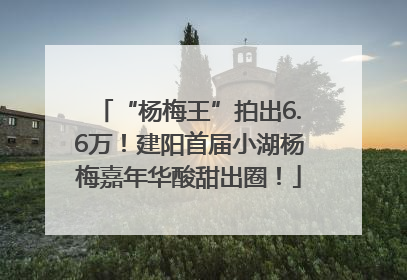 “杨梅王”拍出6.6万！建阳首届小湖杨梅嘉年华酸甜出圈！