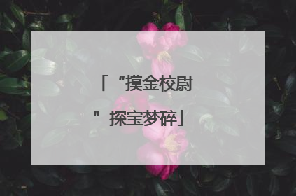 “摸金校尉”探宝梦碎