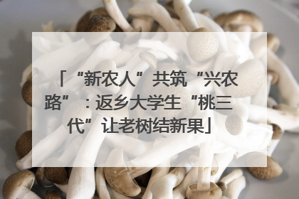 “新农人”共筑“兴农路”：返乡大学生“桃三代”让老树结新果