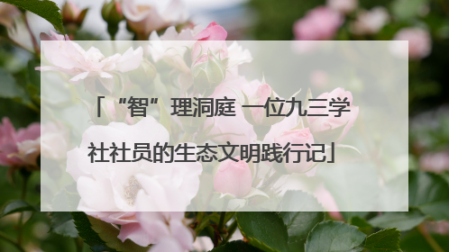 “智”理洞庭 一位九三学社社员的生态文明践行记