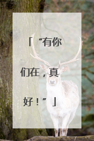 “有你们在，真好！”