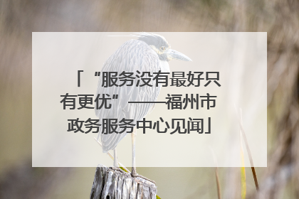 “服务没有最好只有更优”——福州市政务服务中心见闻
