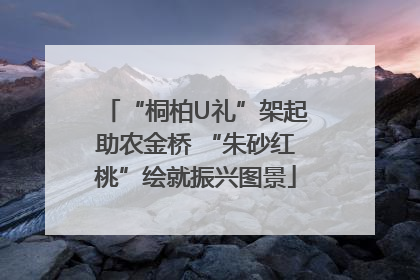 “桐柏U礼”架起助农金桥 “朱砂红桃”绘就振兴图景