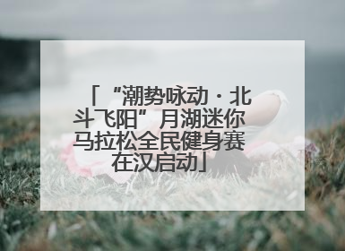 “潮势咏动・北斗飞阳”月湖迷你马拉松全民健身赛在汉启动