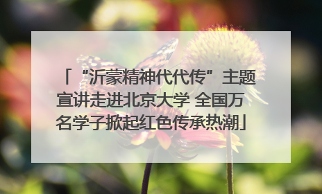 “沂蒙精神代代传”主题宣讲走进北京大学 全国万名学子掀起红色传承热潮