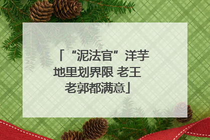 “泥法官”洋芋地里划界限 老王老郭都满意