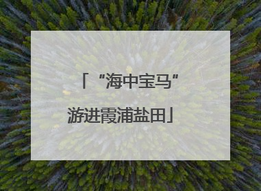 “海中宝马”游进霞浦盐田