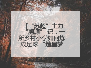 “苏超”主力 “溯源” 记：一所乡村小学如何炼成足球 “造星梦工场”