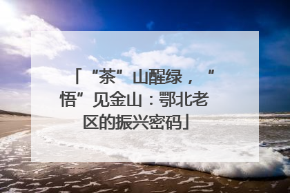 “茶”山醒绿，“悟”见金山：鄂北老区的振兴密码