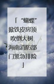 “蝴蝶”掀铁皮房顶吹倒大树 海南消防部门紧急排险