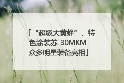 “超级大黄蜂”、特色涂装苏-30MKM 众多明星装备亮相